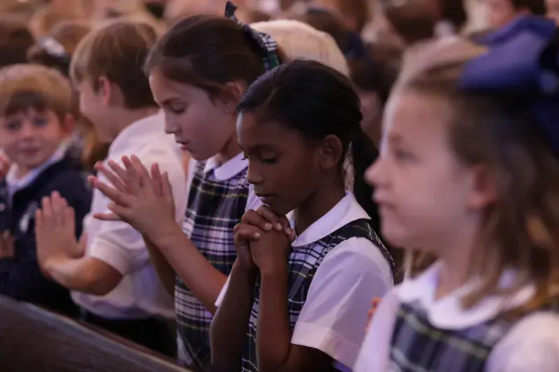 OptimizedImage,Optimized