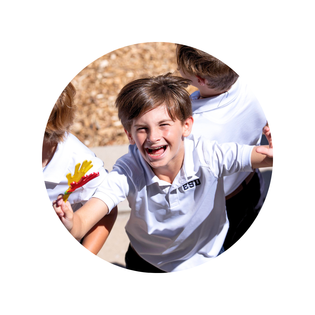 OriginalImage,,,Original