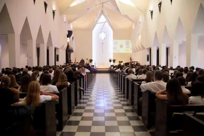 OptimizedImage,Optimized