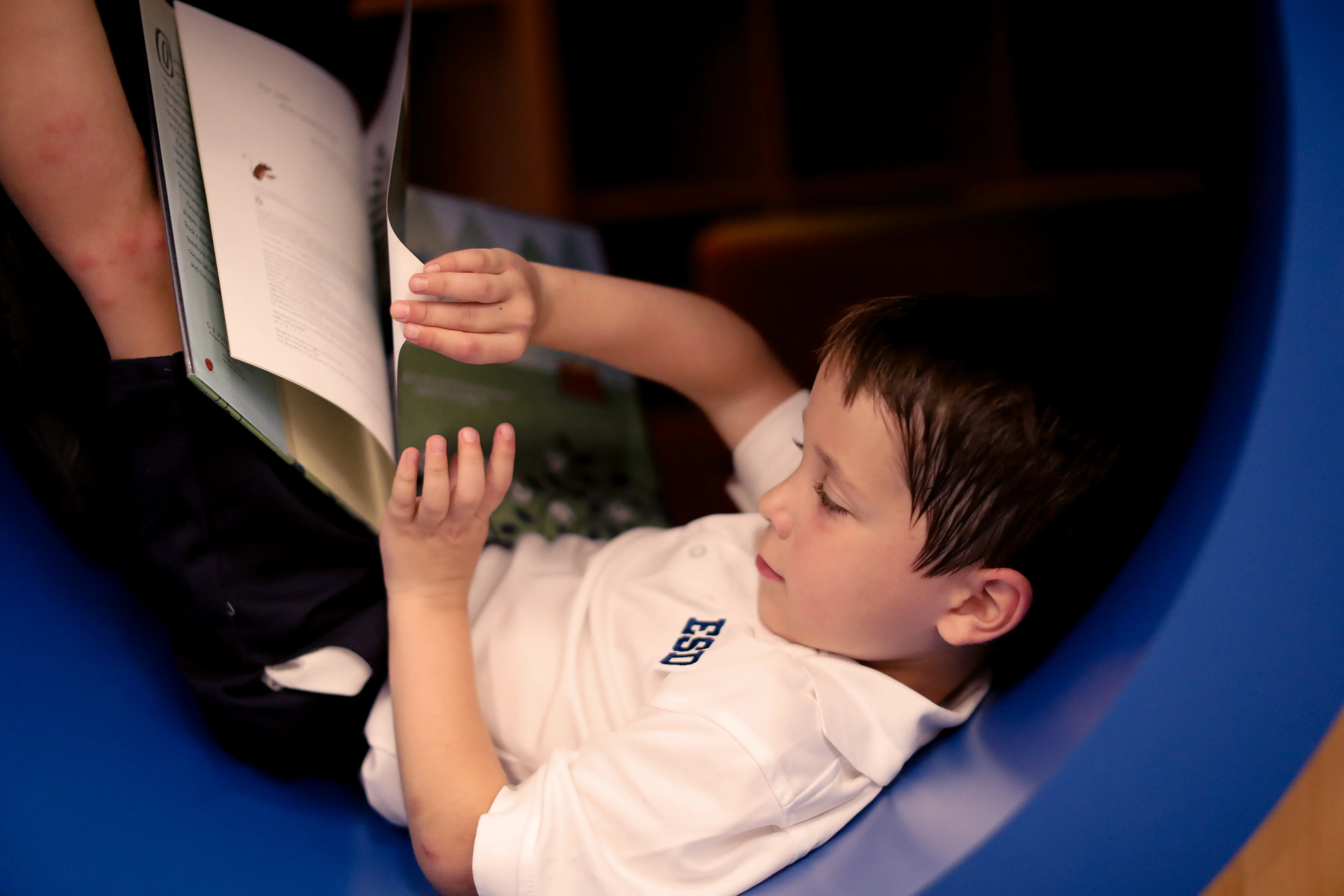 OptimizedImage,Optimized