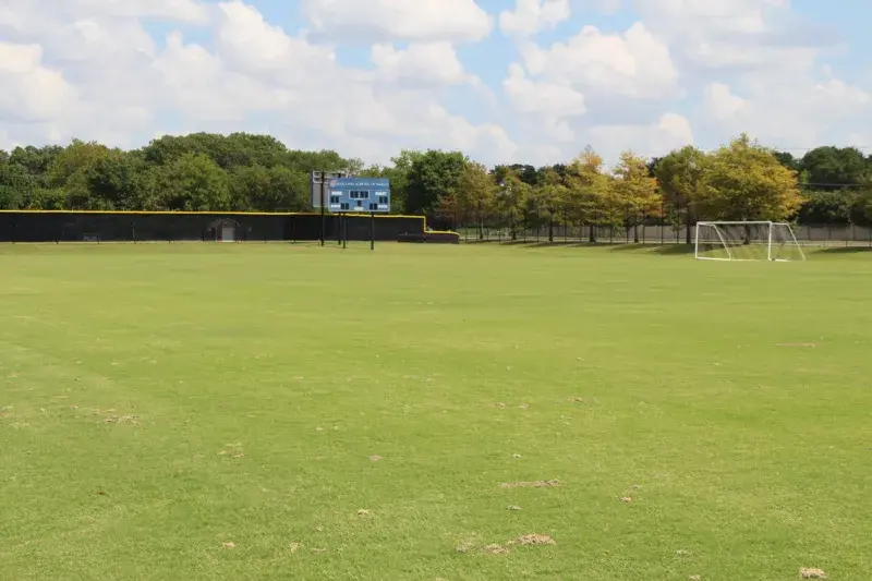 OptimizedImage,Optimized