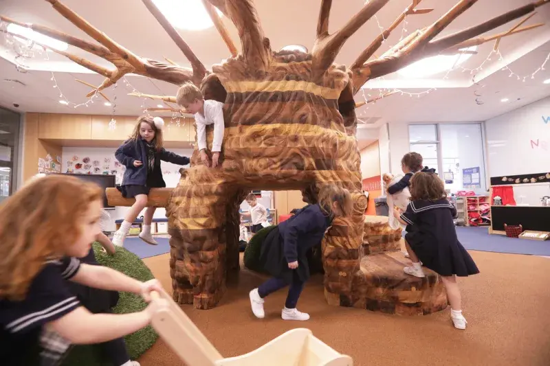 OptimizedImage,Optimized