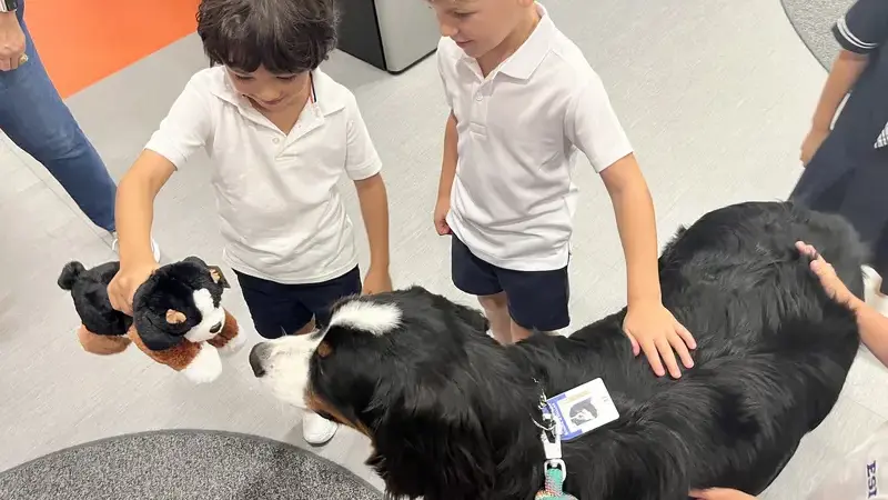 Introducing Lukas Edward Henry: Certified Therapy Dog