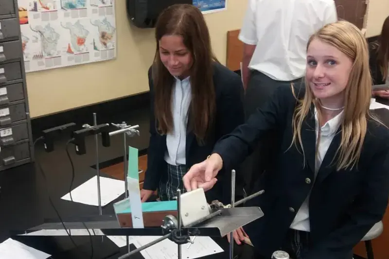 OptimizedImage,Optimized