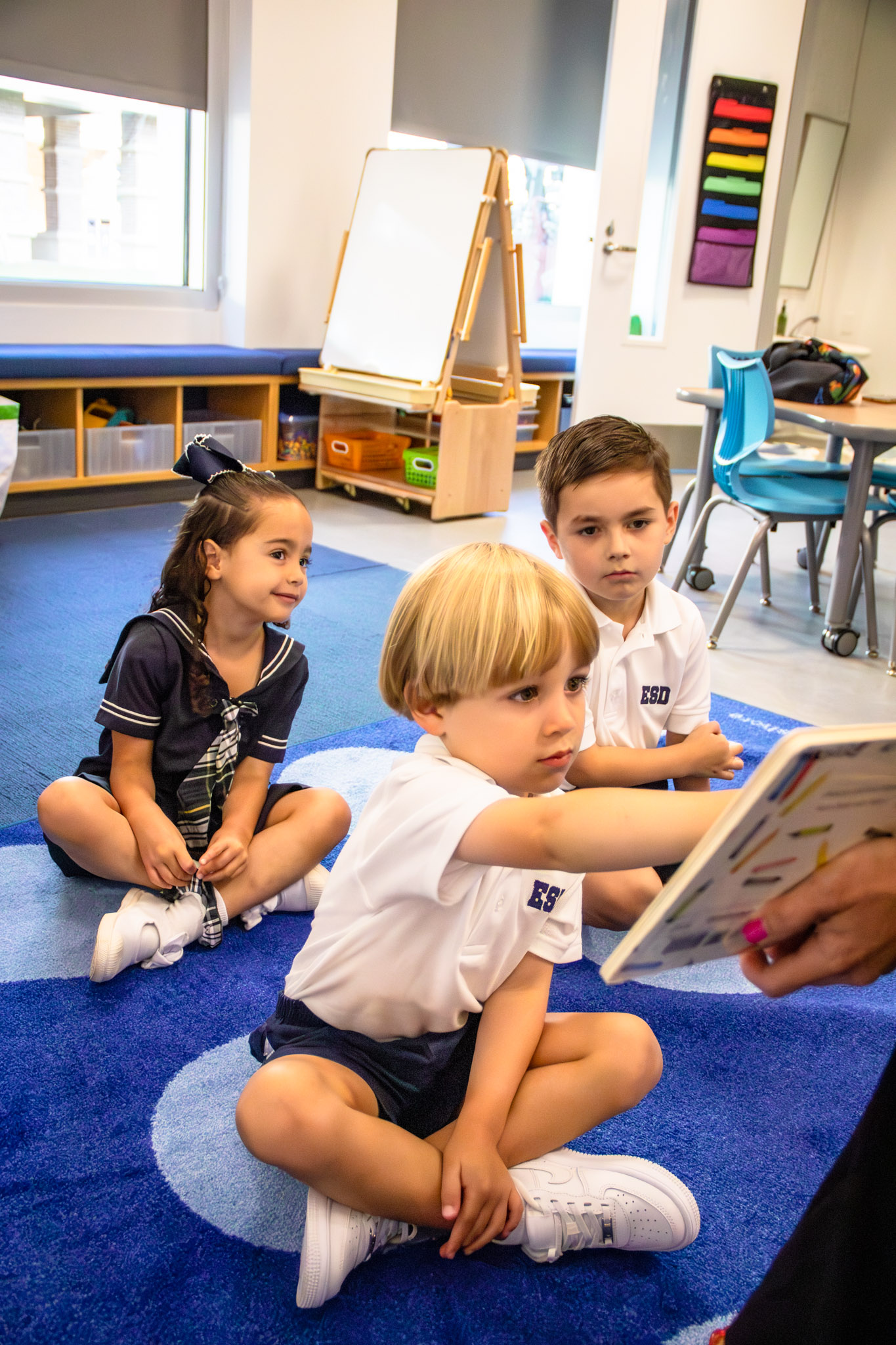 OriginalImage,,,Original