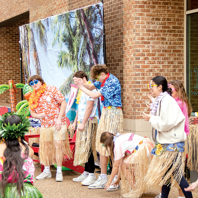 OriginalImage,,,Original