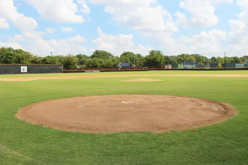 OptimizedImage,Optimized