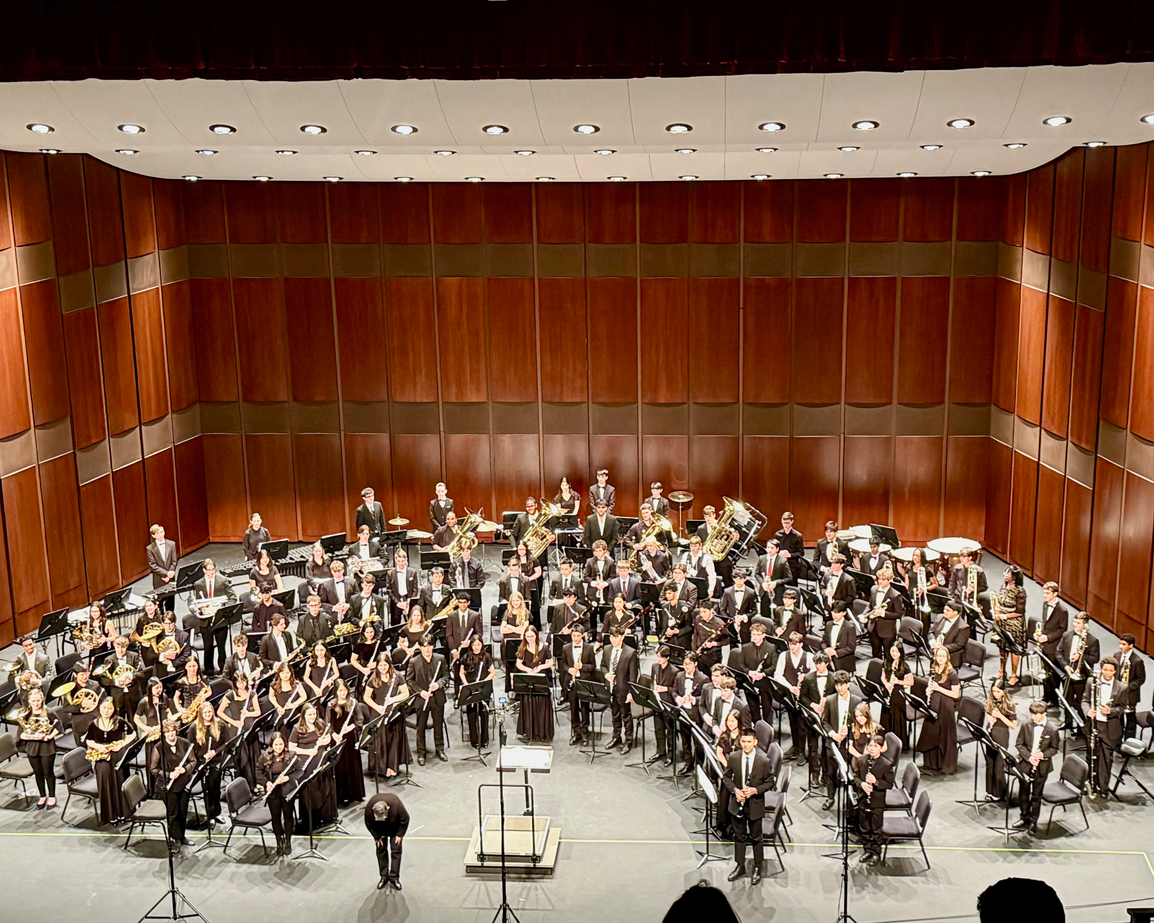TPSMEA Orchestra and Band Placements 2025