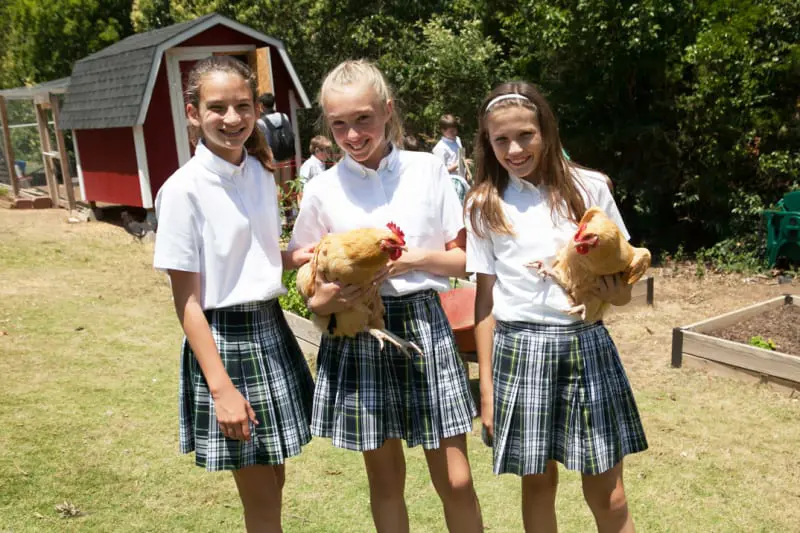 OptimizedImage,Optimized