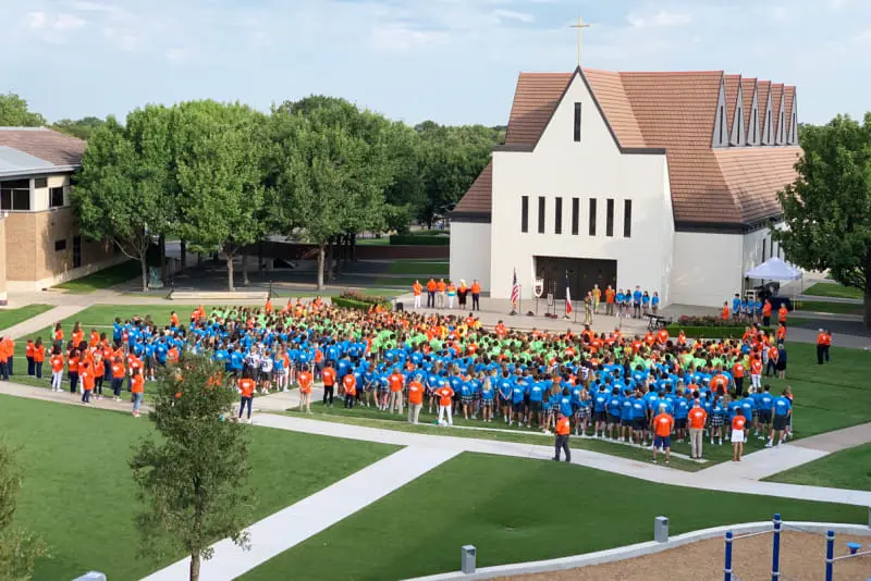 OptimizedImage,Optimized