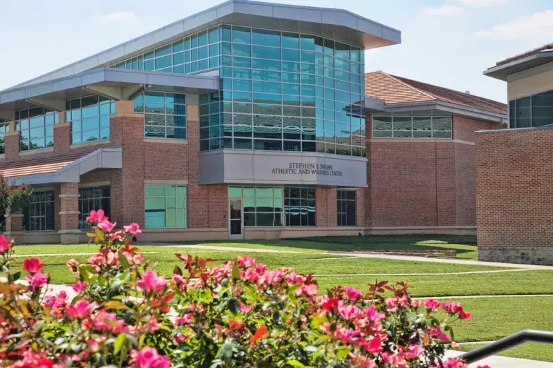 OptimizedImage,Optimized